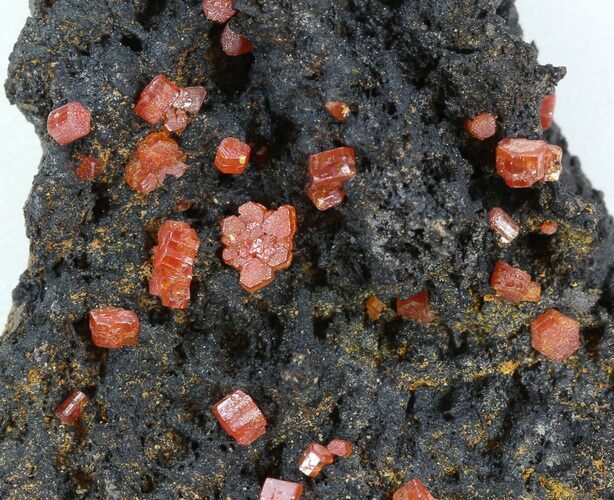 Red Vanadinite Crystals on Manganese Oxide - Morocco #38500